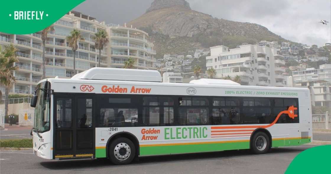 120 Electric buses to be bought in next few years by Golden Arrow. 120 Electric buses to be bought in next few years by Golden Arrow.