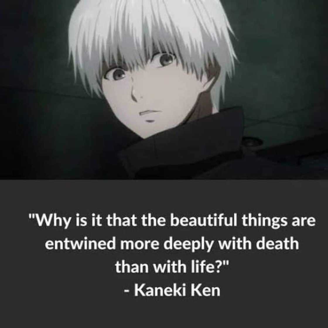 Emotional anime quotes Emotional anime quotes