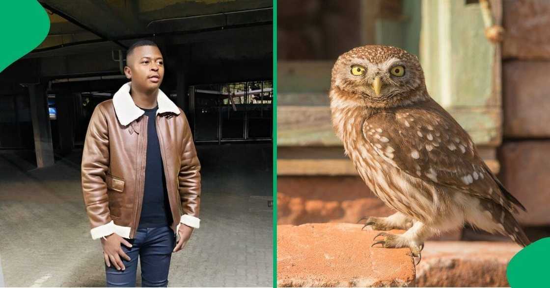 A student believes people from his village sent an owl to check up on him. A student believes people from his village sent an owl to check up on him.