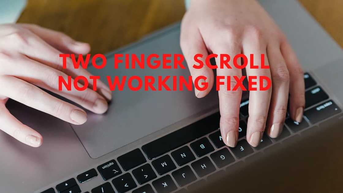 Touchpad two finger scroll not working