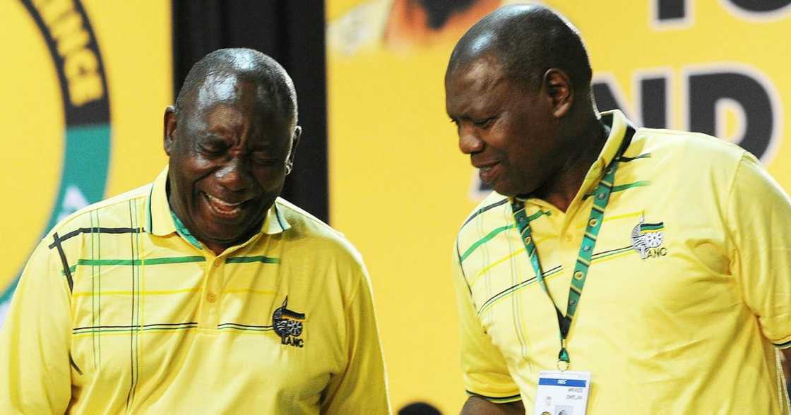 Cyril Ramaphosa, Zweli Mkhize, Digital Vibes report, Special Investigating Unit, corruption