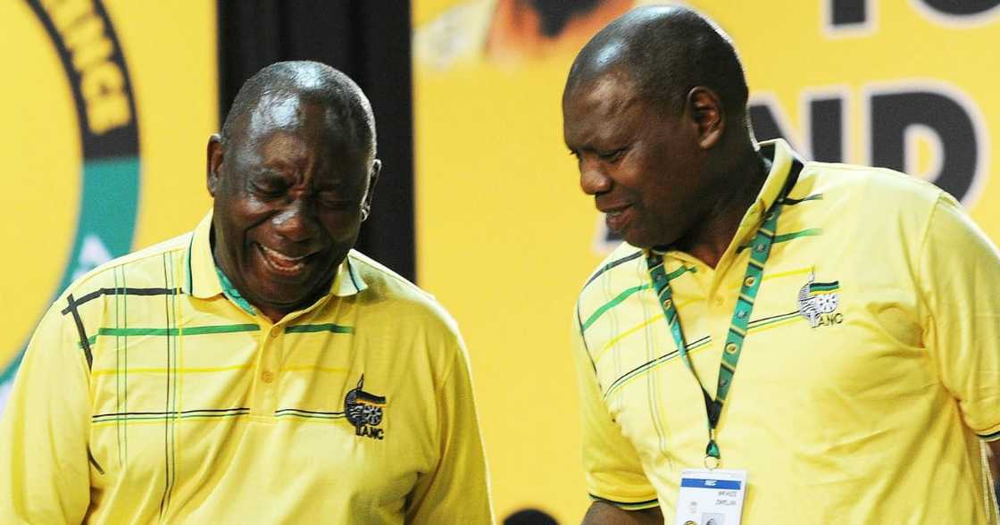 Cyril Ramaphosa, Zweli Mkhize, Digital Vibes report, Special Investigating Unit, corruption Cyril Ramaphosa, Zweli Mkhize, Digital Vibes report, Special Investigating Unit, corruption