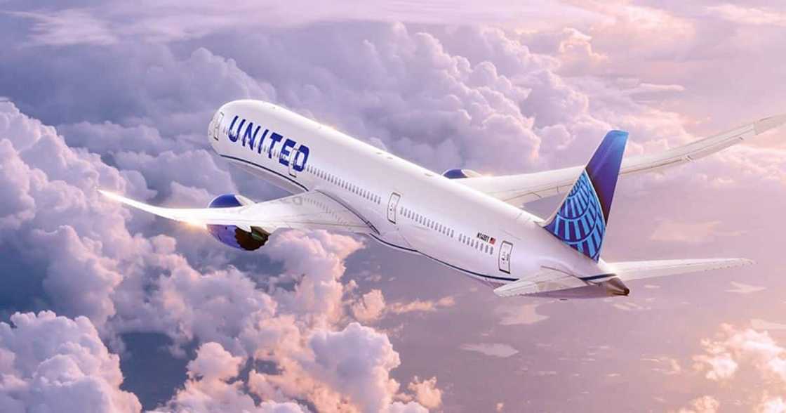 United Airlines has announced that return flights from Jozi to New York are set to start on 3 June. Image: @United/Twitter United Airlines has announced that return flights from Jozi to New York are set to start on 3 June. Image: @United/Twitter