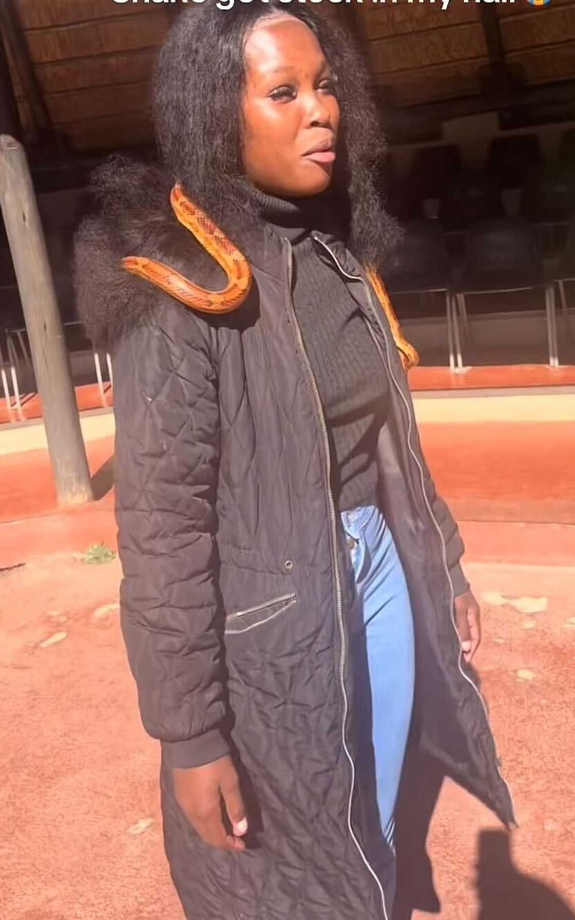 A woman in South Africa shared her encounter with a snake tangled in her hair, sparking mixed reactions. A woman in South Africa shared her encounter with a snake tangled in her hair, sparking mixed reactions.