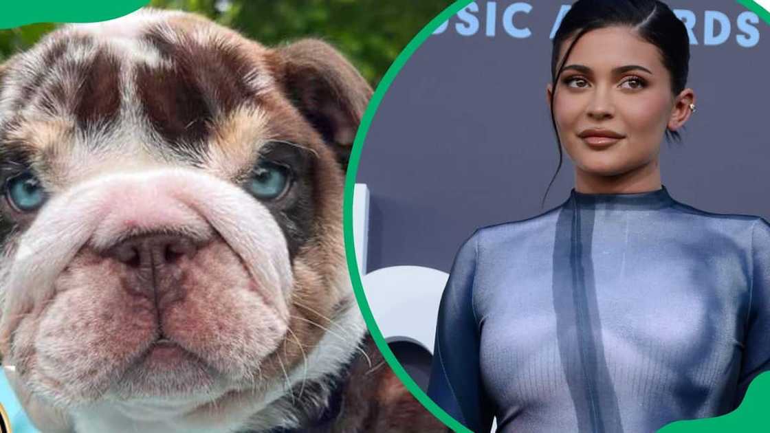 Close-up of the expensive Rolly (L). Kylie Jenner during the 2022 Billboard Music Awards (R) Close-up of the expensive Rolly (L). Kylie Jenner during the 2022 Billboard Music Awards (R)