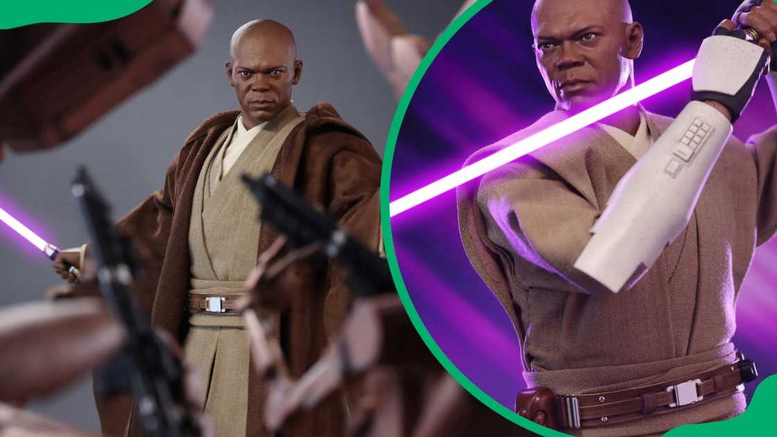 Mace Windu in a battle Mace Windu in a battle