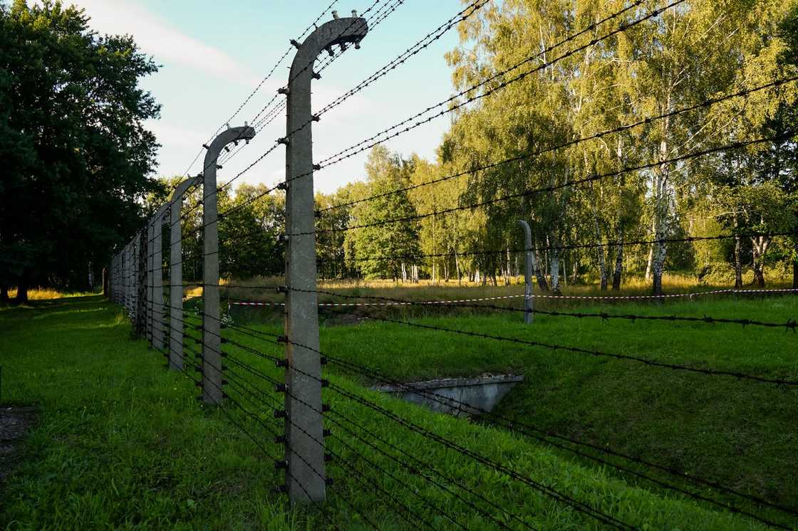 A barbed-wire fence running along a grassy boundary near a wooded area.