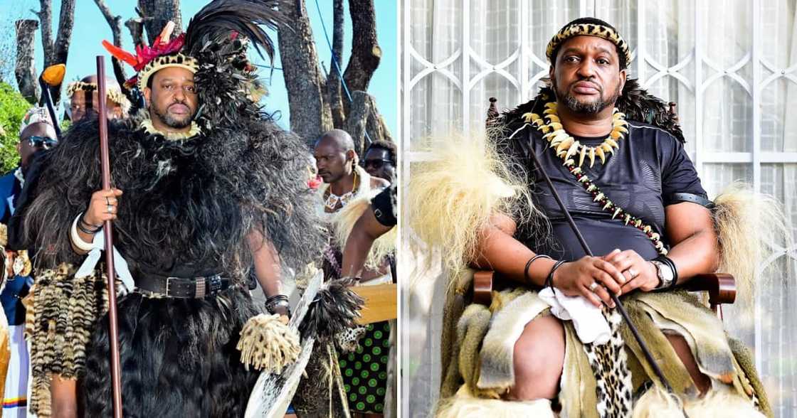 King Misuzulu ka Zwelithini killed a lion King Misuzulu ka Zwelithini killed a lion