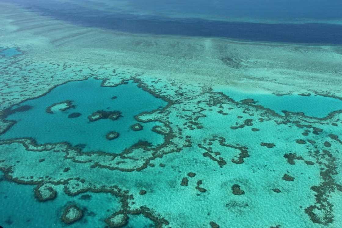 Australia's Great Barrier Reef is significantly impacted by climate change factors, according to experts.