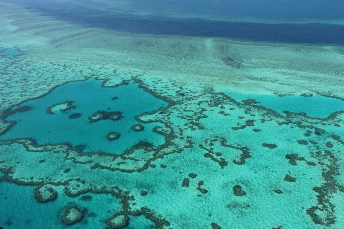 Australia's Great Barrier Reef is significantly impacted by climate change factors, according to experts. Australia's Great Barrier Reef is significantly impacted by climate change factors, according to experts.