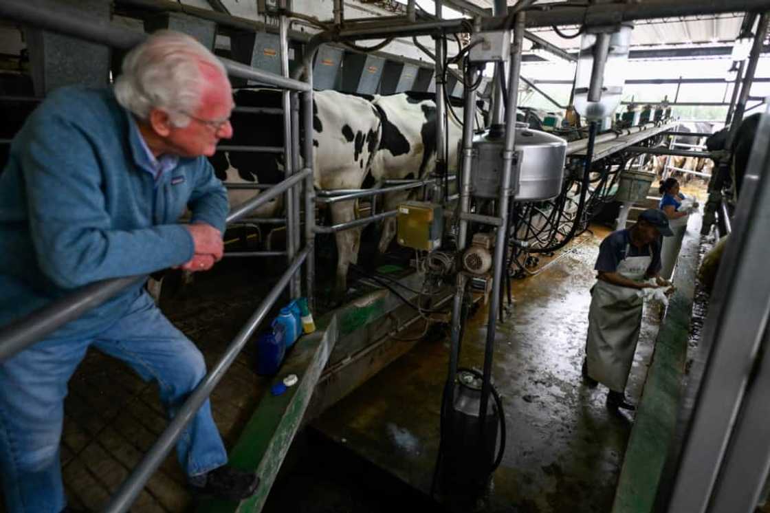 Farmer Maximo Russ says he will back Javier Milei and his policies backing market freedom in the upcoming presidential runoff in Argentina Farmer Maximo Russ says he will back Javier Milei and his policies backing market freedom in the upcoming presidential runoff in Argentina