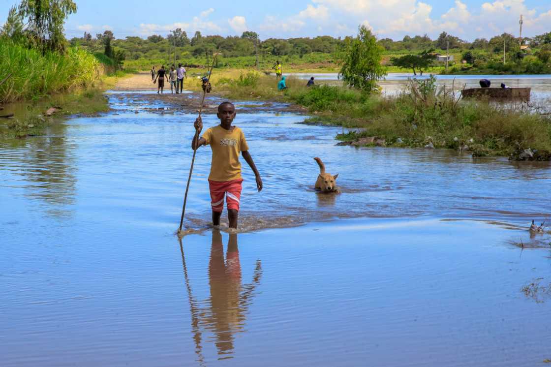 A boy and a dog walking inside a river