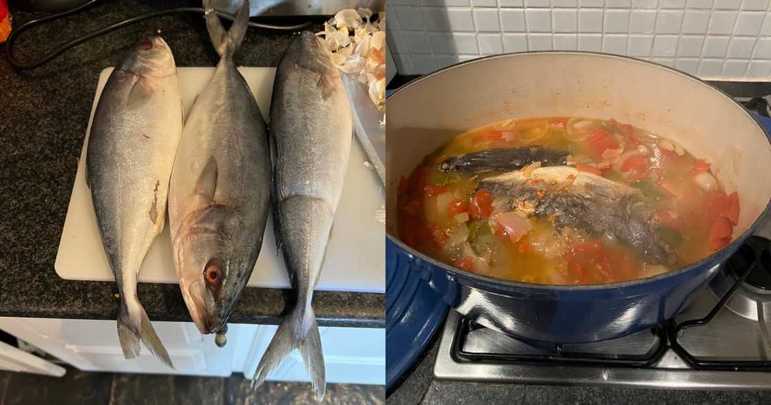 Tito Mboweni, Fish, Dinner, Reactions Tito Mboweni, Fish, Dinner, Reactions