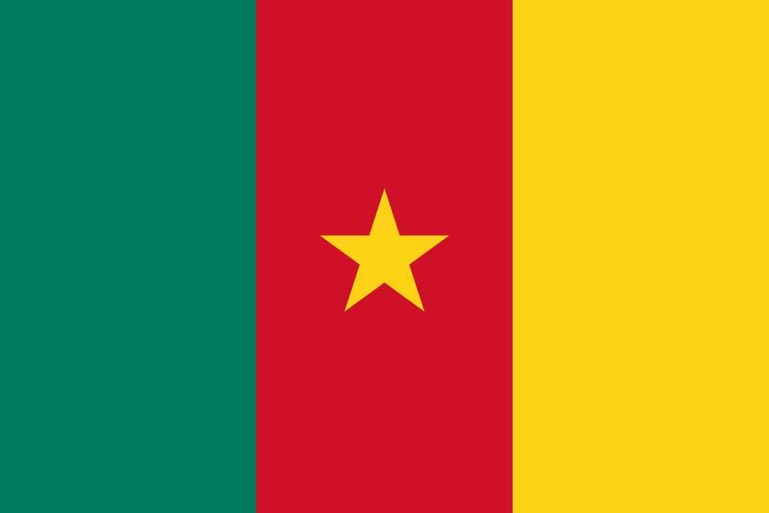 The flag of Cameroon