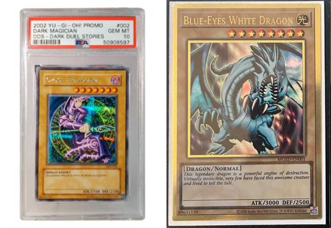 Dark Magician and Blue-Eyes White Dragon