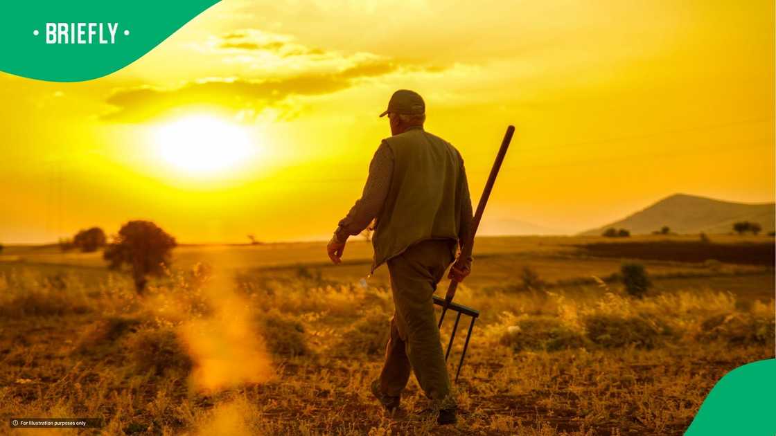Farmers in America from South Africa's earnings spark debate Farmers in America from South Africa's earnings spark debate