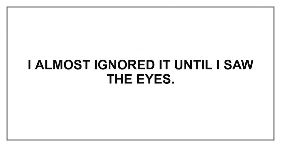 I almost ignored it until I saw the eyes. I almost ignored it until I saw the eyes.