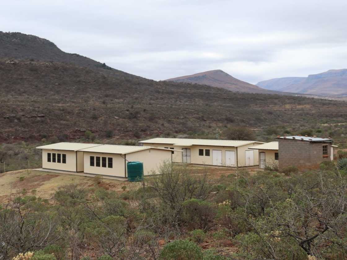 Pupils at Gcina Senior Primary in the Eastern Cape have to deal with having one teacher and no toilets.