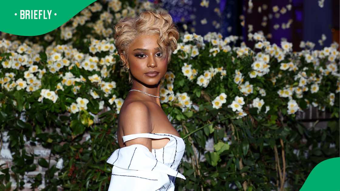 Netizens reacted to the accusations against alleged boyfriend. Netizens reacted to the accusations against alleged boyfriend.