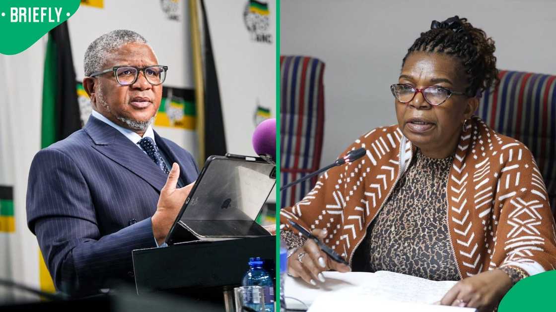 Fikile Mbalula has defended Dina Pule’s appointment as a minister