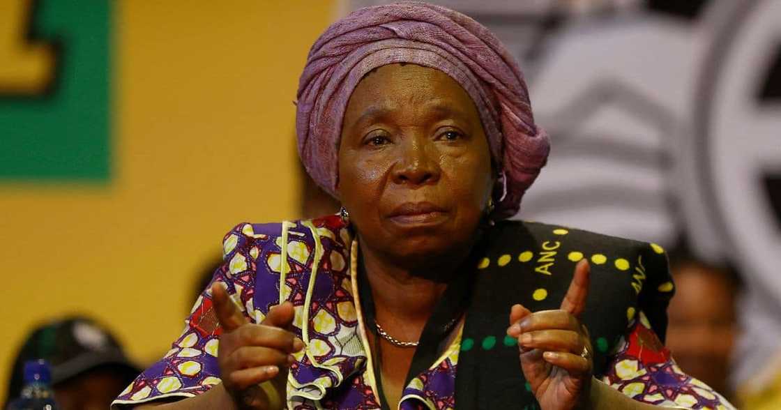 Nkosazana Dlamini-Zuma