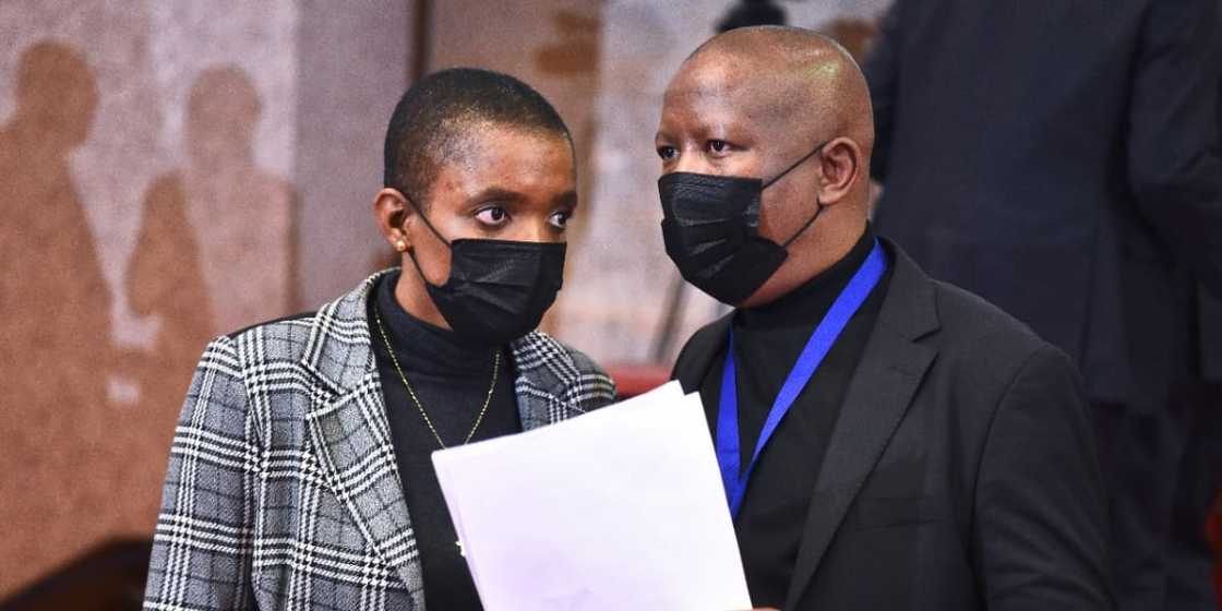MP defends herself & Julius Malema with sanitiser, at Parliament meeting, Mzansi loves it MP defends herself & Julius Malema with sanitiser, at Parliament meeting, Mzansi loves it