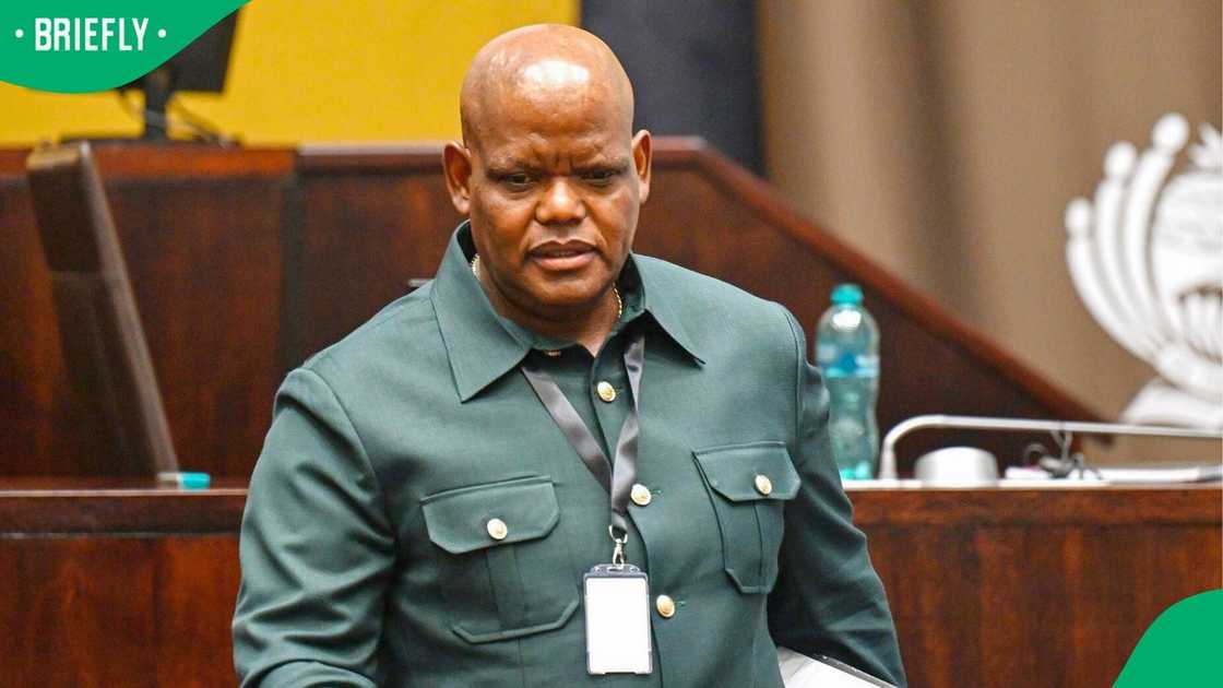 Former Acting National Police Commissioner Khomotso Phahlane