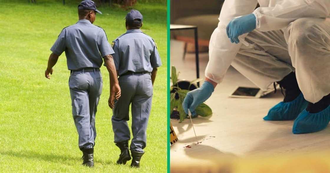 Eastern Cape man sentenced to 3 life terms. Eastern Cape man sentenced to 3 life terms.