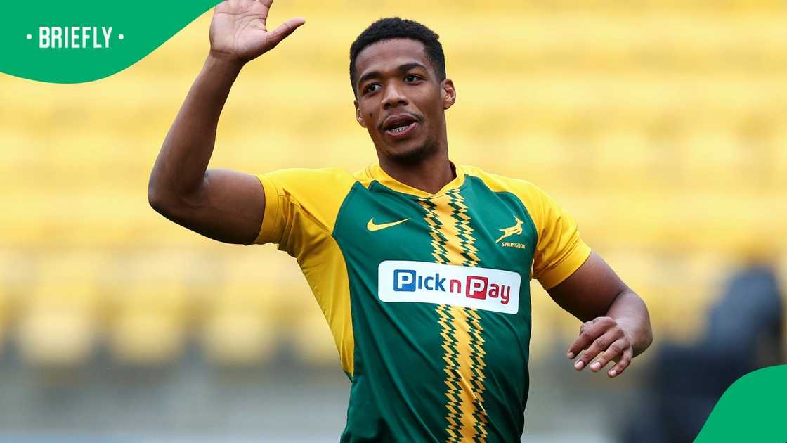 Springboks, South Africa, Grant Williams Springboks, South Africa, Grant Williams