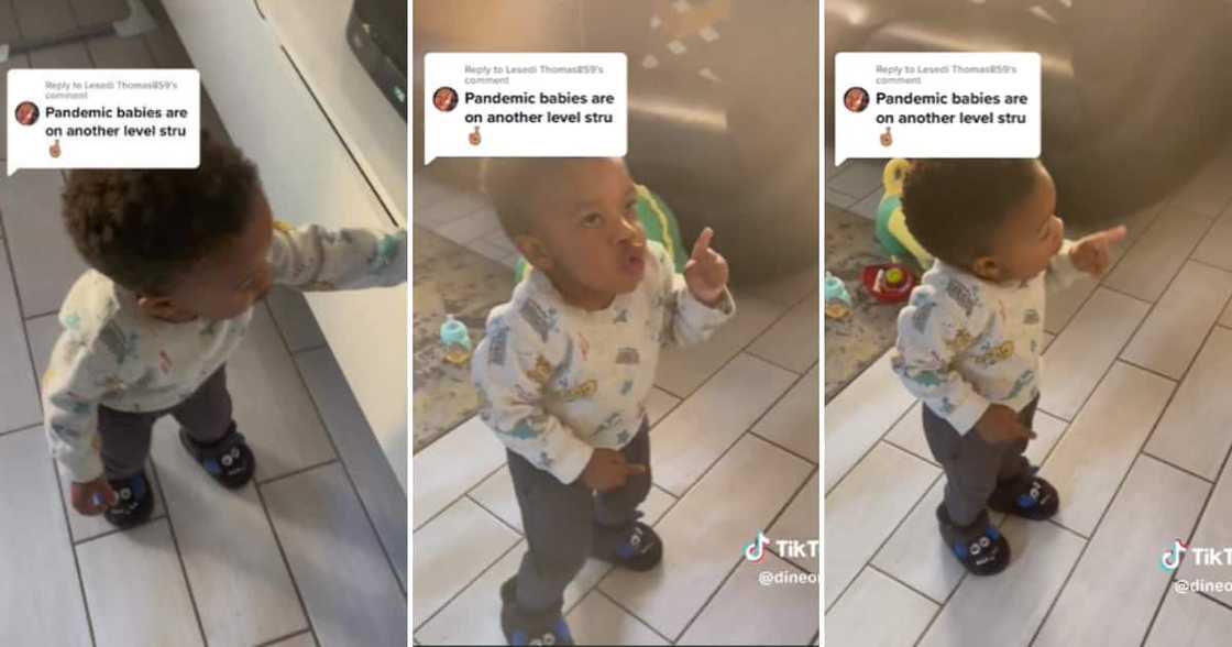 TikTok user @dineonala's baby is all about the groove life