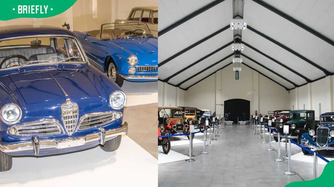 The Rupert family cars The Rupert family cars