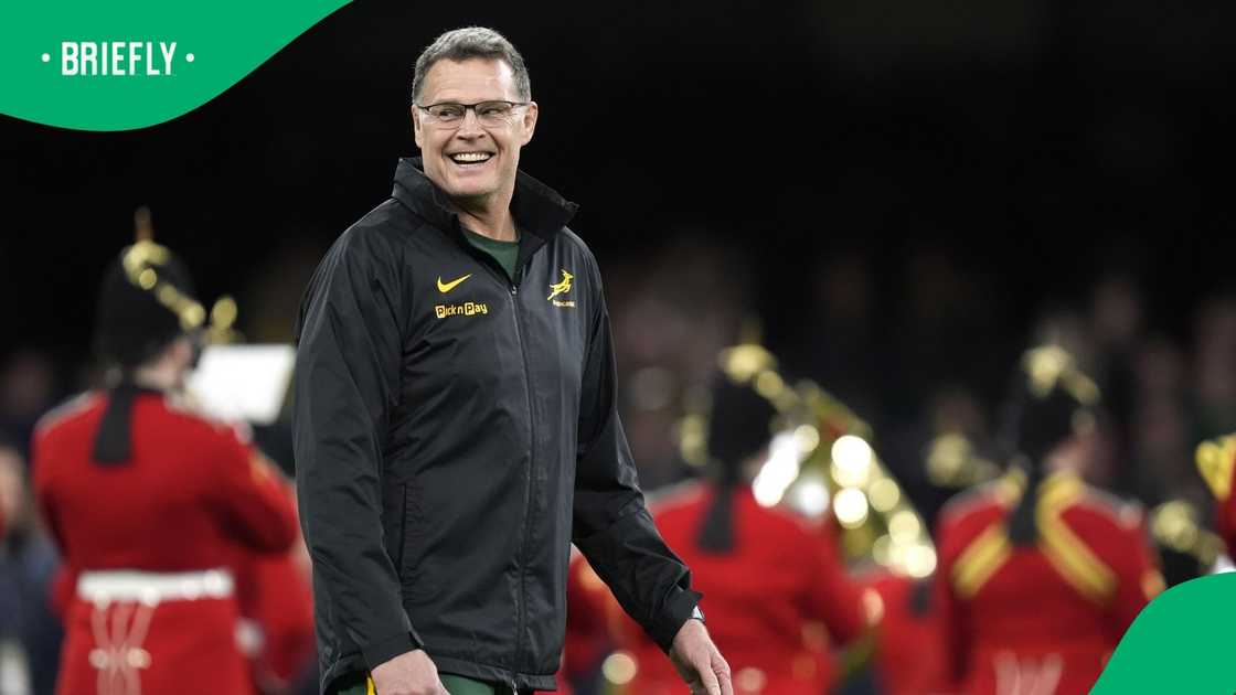Springboks, Rassie Erasmus, South Africa