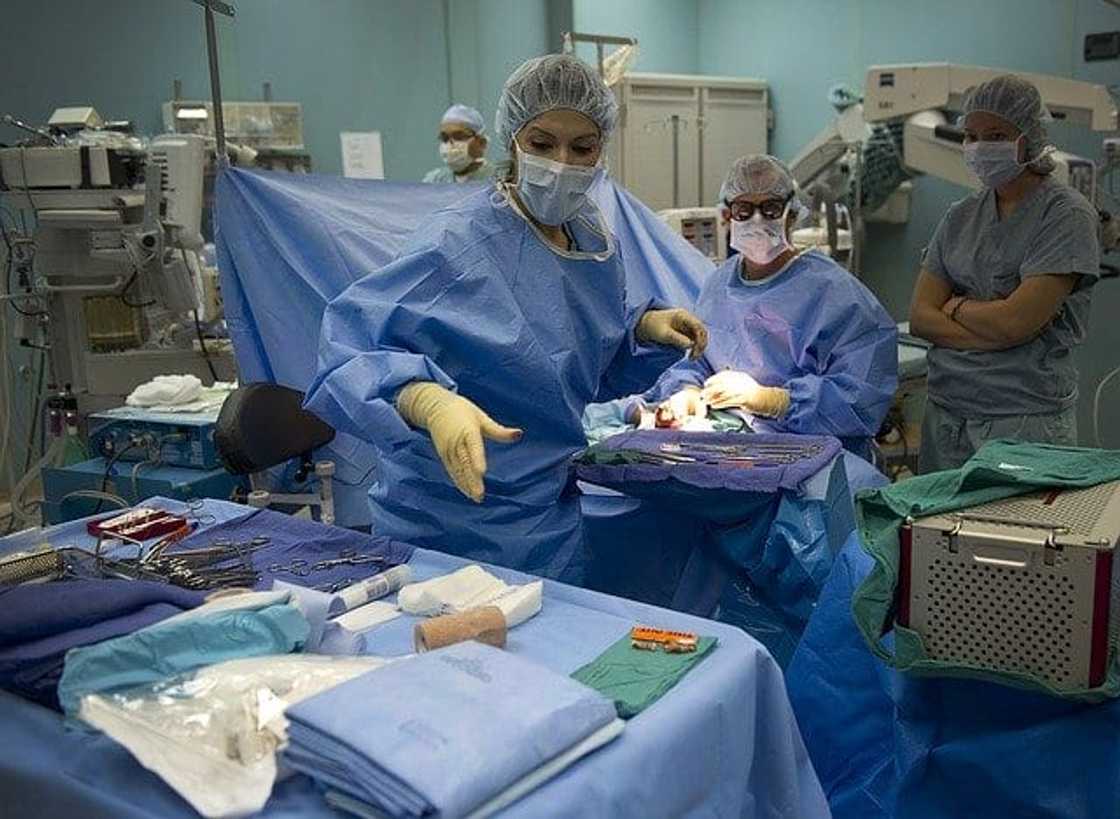 nursing colleges in northwest nursing colleges in northwest