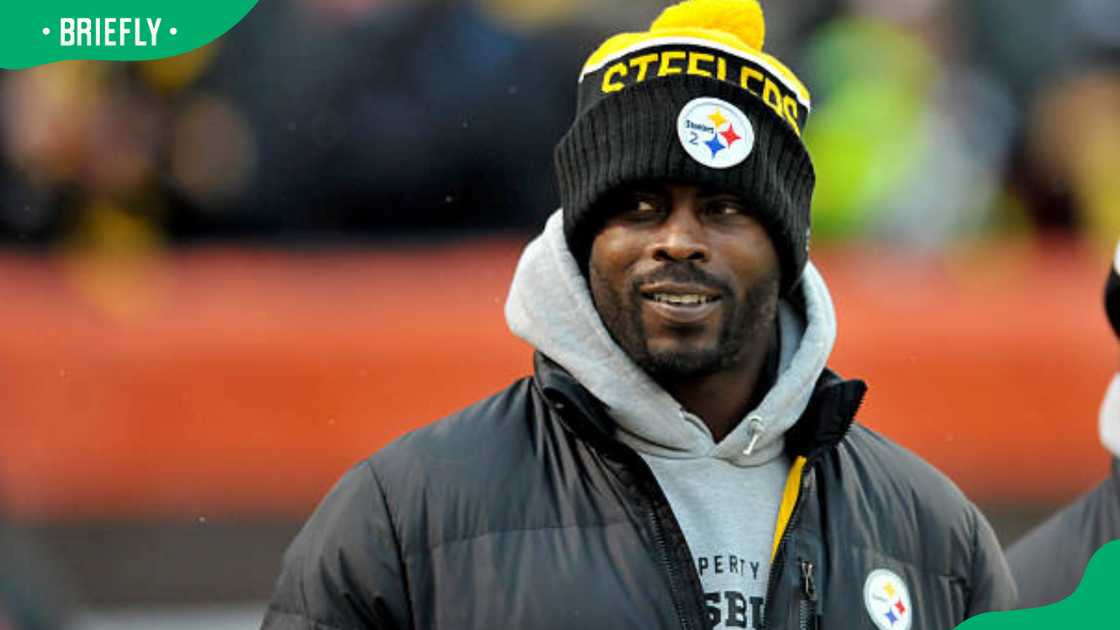 Michael Vick at FirstEnergy Stadium