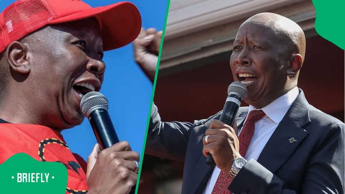 Julius Malema's EFF has written to the BCCSA.
