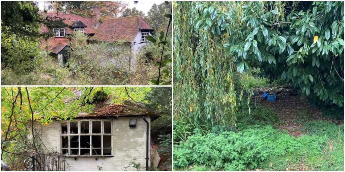 Stranger splashes N416m to acquire 400-year-old dangerous house filled with rats, rabbits and mice he saw online Stranger splashes N416m to acquire 400-year-old dangerous house filled with rats, rabbits and mice he saw online