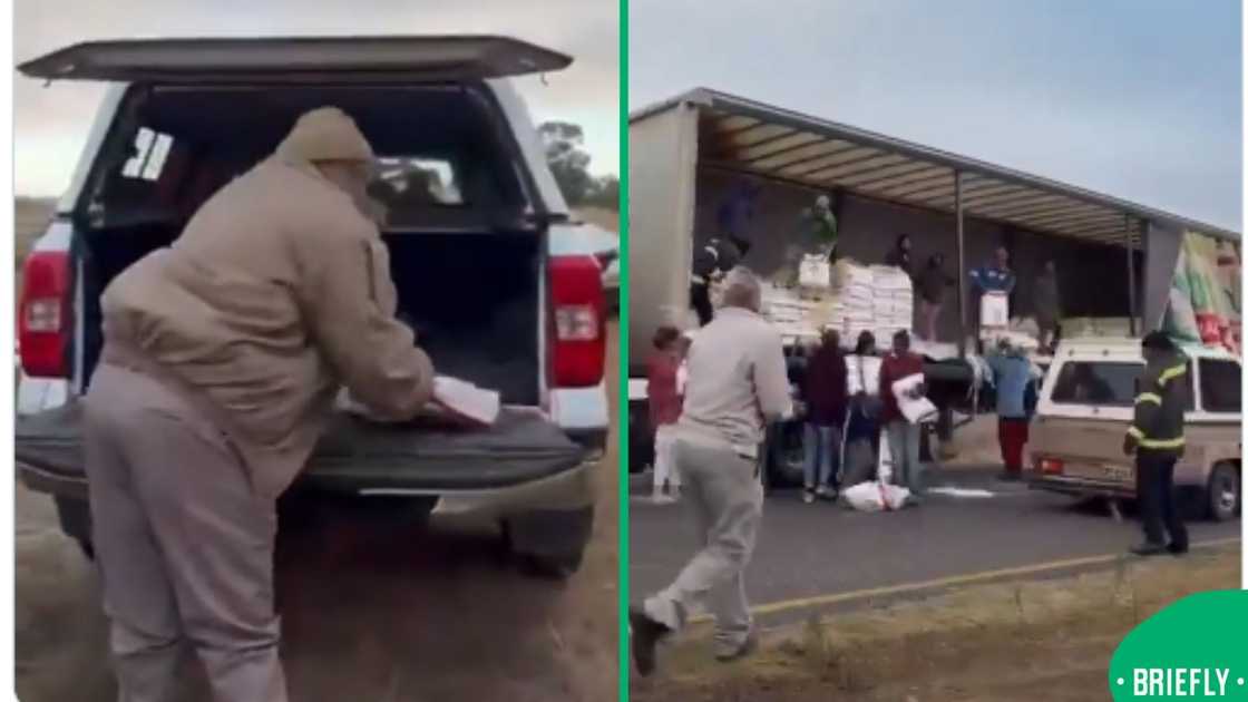 looting looting