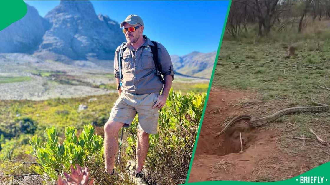 The reptile slithered into an occupied pit, forcing the warthog to jump out fast and run for its life