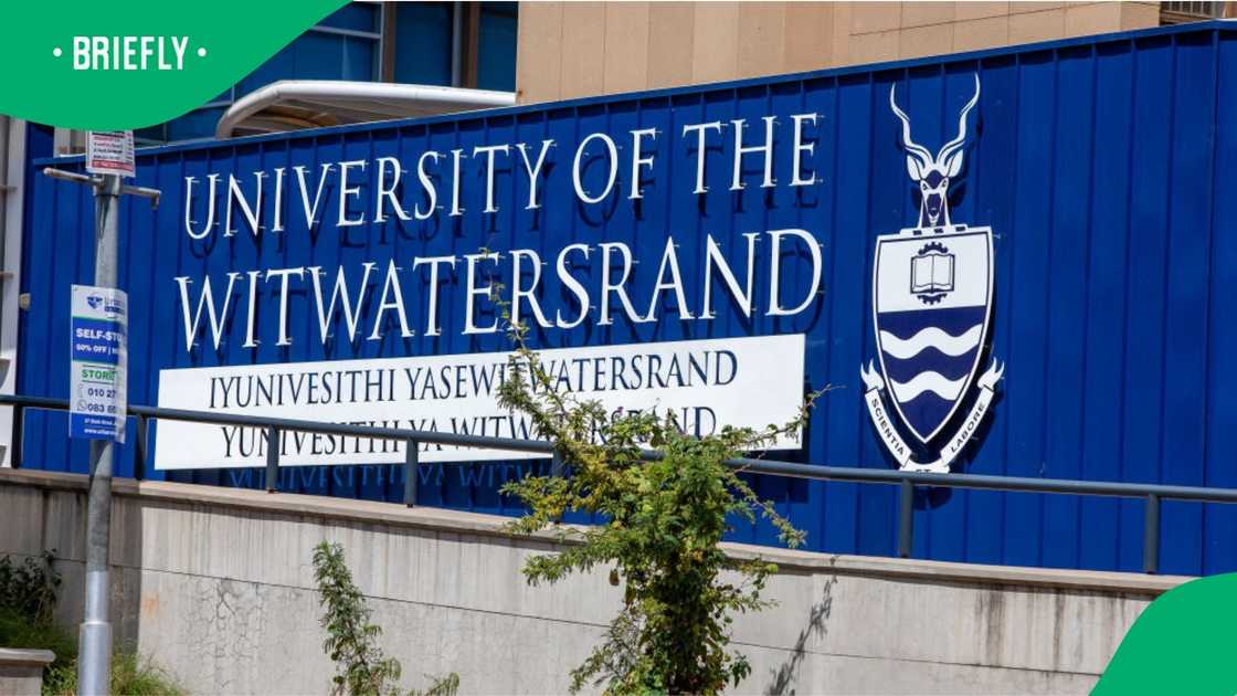 Wits students are on a hunger strike because they cannot register Wits students are on a hunger strike because they cannot register