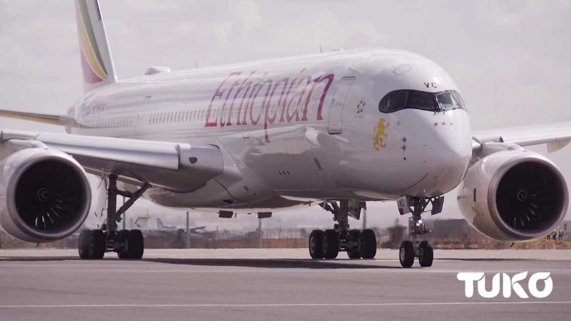 Ethiopian: Africa’s largest, most profitable airline flies high with zero funding from government Ethiopian: Africa’s largest, most profitable airline flies high with zero funding from government