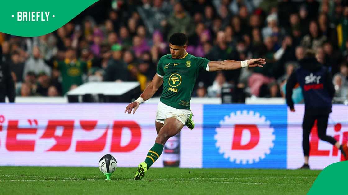 Erasmus outlines comeback plan for injured Springbok playmaker Sacha Feinberg-Mngomezulu