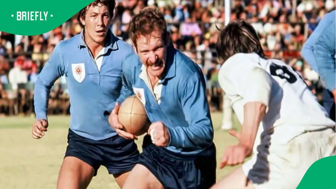 Springboks, Piston van Wyk, South Africa