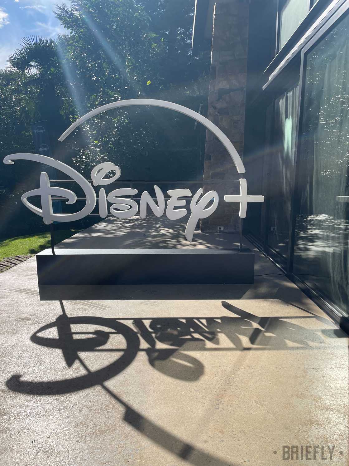 Disney Plus is launching new shows on their streaming platform Disney Plus is launching new shows on their streaming platform