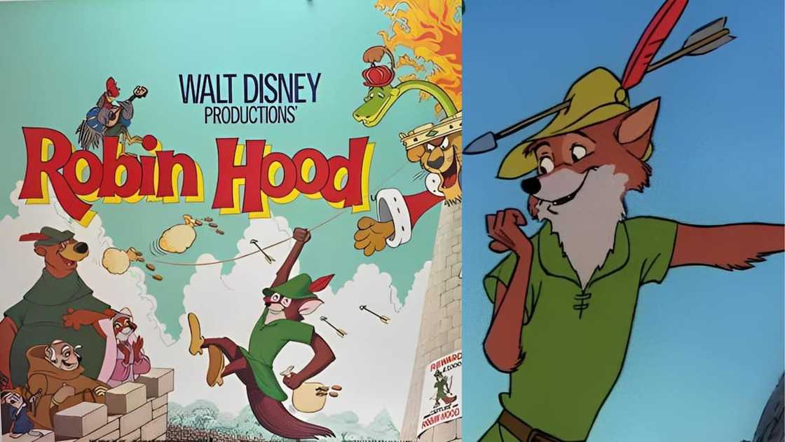 Robin Hood from the Disney universe Robin Hood from the Disney universe