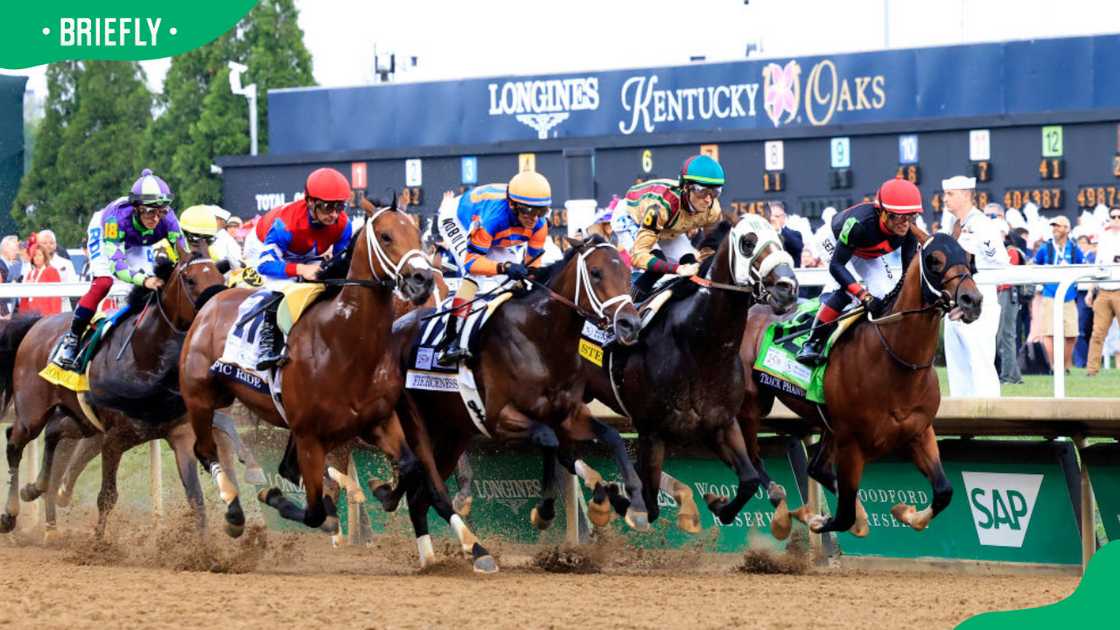 Which sport is more valuable? Which sport is more valuable?