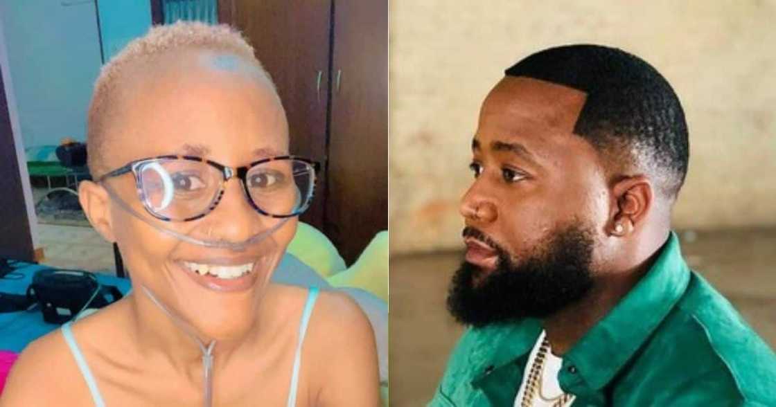 Woman due for lung transplant, India, Cassper Nyovest Woman due for lung transplant, India, Cassper Nyovest