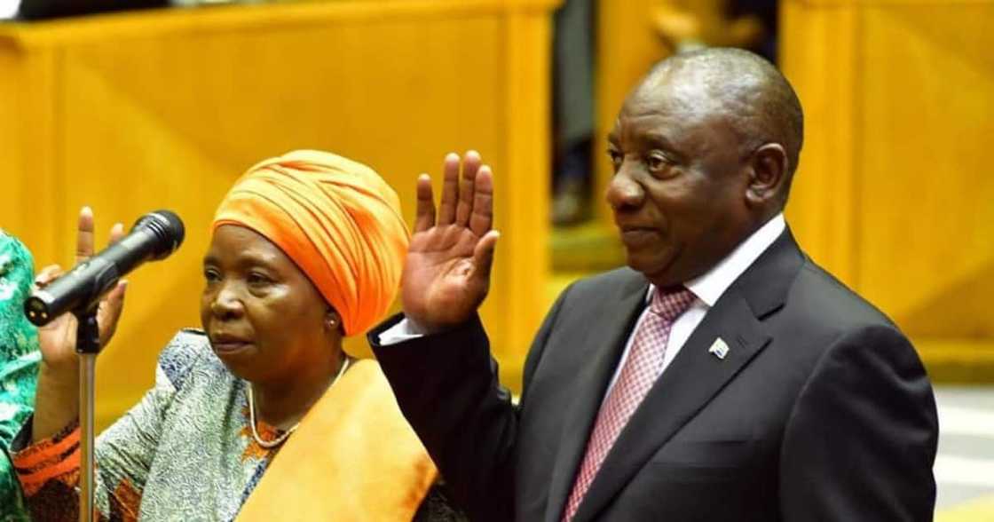 coronavirus coronavirus