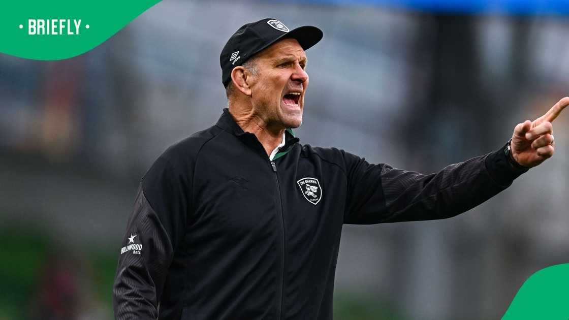 John Plumtree, Sharks, Leinster, United Rugby Championship John Plumtree, Sharks, Leinster, United Rugby Championship