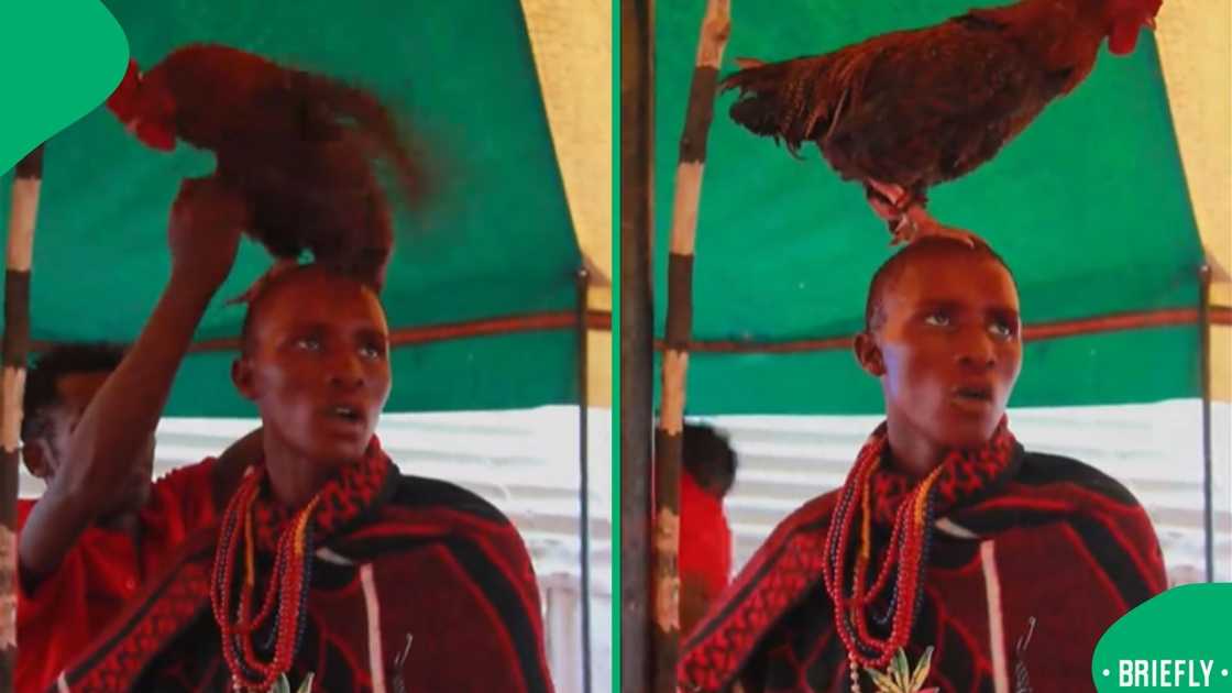 The visual showed a man posing with a chicken on his head The visual showed a man posing with a chicken on his head