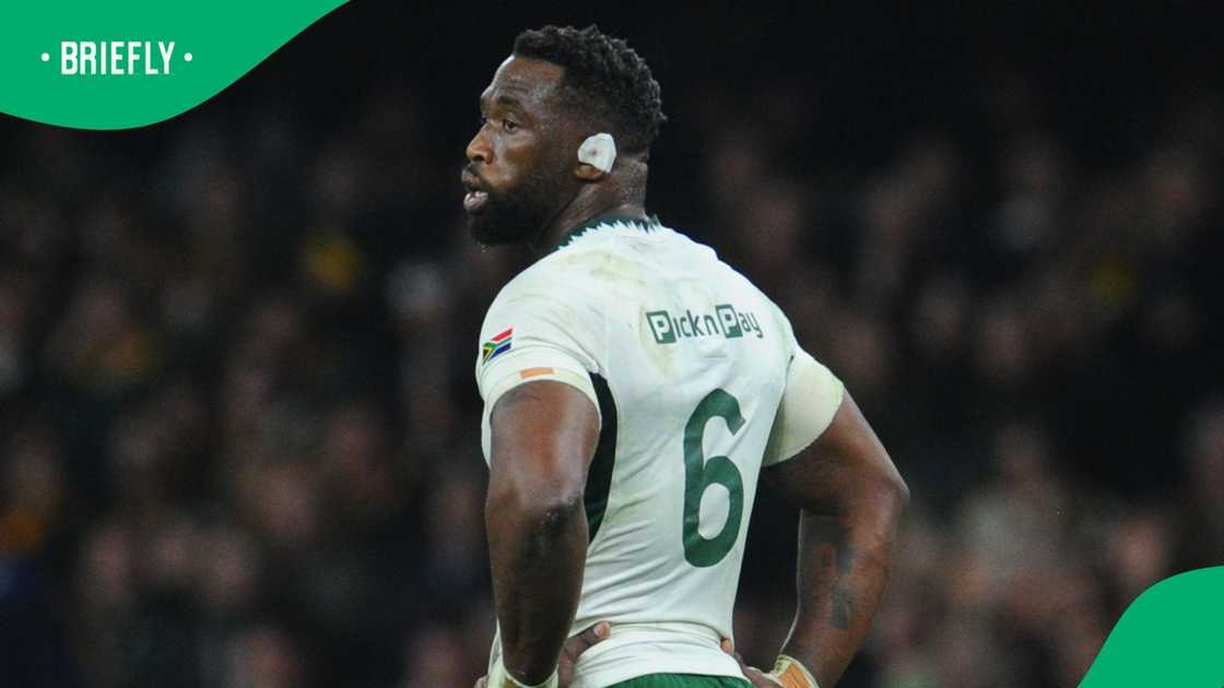 Springboks, Siya Kolisi, Quilter Nations Series 2025 Springboks, Siya Kolisi, Quilter Nations Series 2025